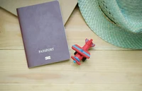 pexels-Porapak Apichodilok__346798.jpg