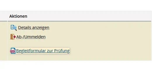Begleitformular zur Prüfung