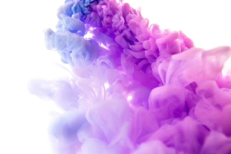 Fachkulturen Diversität